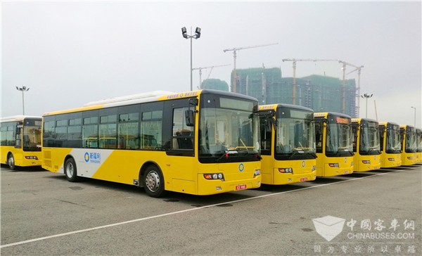 Over 700 Units Higer Buses Work Smoothly in Macau