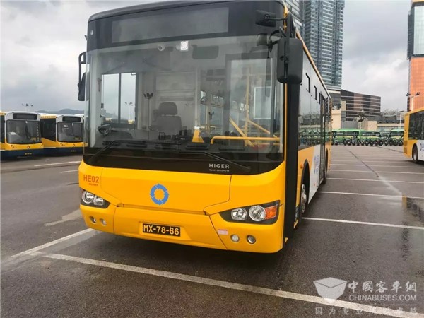 Over 700 Units Higer Buses Work Smoothly in Macau