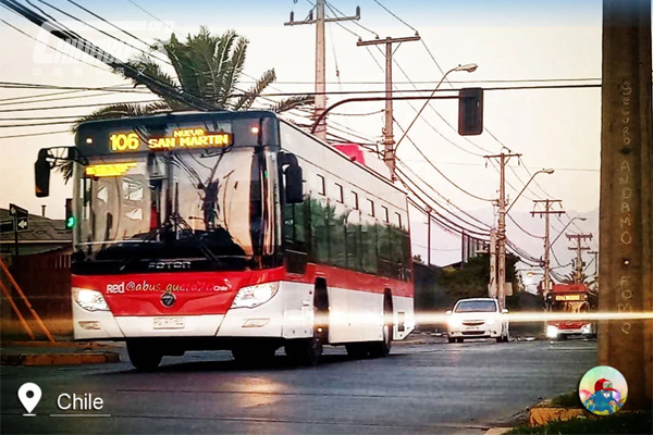 Foton AUV Buses in Chile