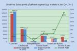 Market Analysis on City Buses in Jan. –Dec. 2012 I