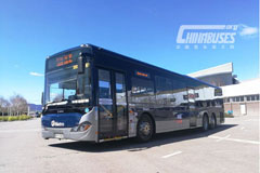 Bonluck Bus JXK6135BA5R City