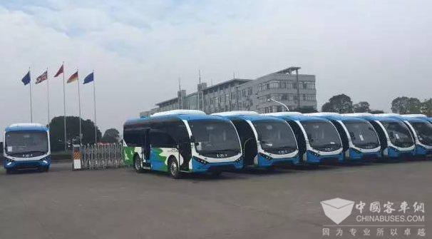 88 Units Youngman Electric City Buses Delivered to Pujiang for Operation 