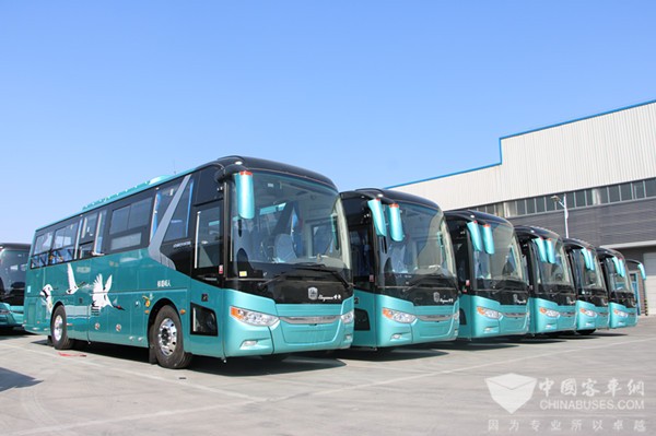 Zhongtong New Energy Buses Start Operation in Qingdao and Yancheng