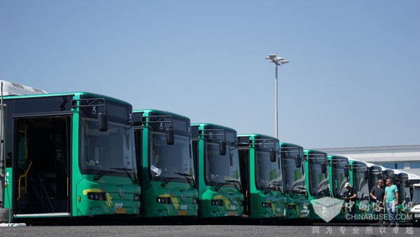 Golden Dragon Electric Buses to Start Operation in Israel
