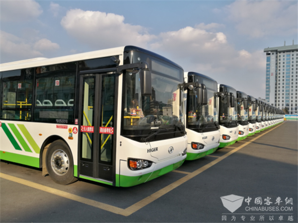 Over 600 Units Higer Buses Start Operation in Weihai