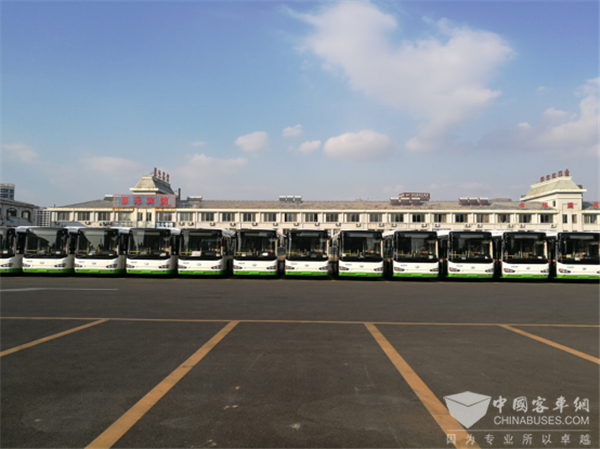 Over 600 Units Higer Buses Start Operation in Weihai