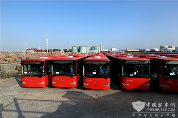 King Long Exports 150 Luxurious “Chinese Red” Buses to Saudi Arabia