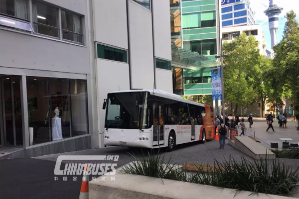 CRRC Electric Buses Start Operation in New Zealand