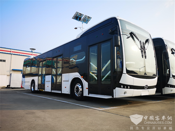 BYD Secures an Order of 379 Units Electric Buses from Columbia