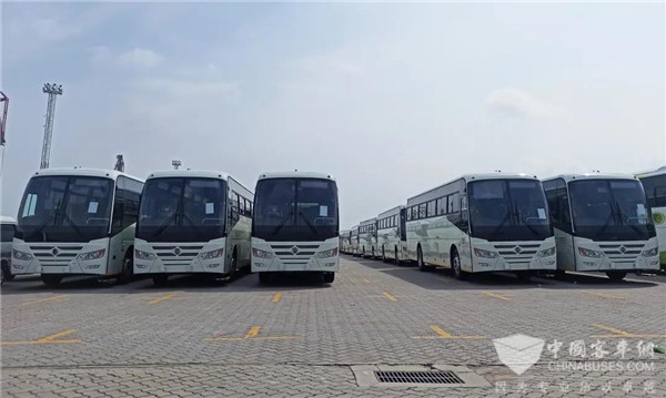 50 Units Golden Dragon Travel Buses with More Customized Features to Arrive in Zimbabwe for Operation