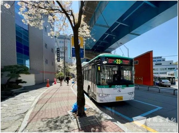 King Long Electric Buses Gain Growing Popularity in South Korea