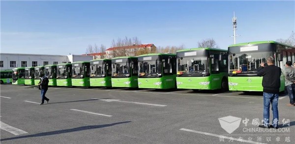 20 Units King Long XMQ6106 Electric City Buses Start Operation in Daqing