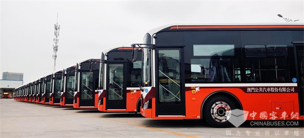 174 Units Zhongtong New Energy Buses Arrive in Macao for Operation