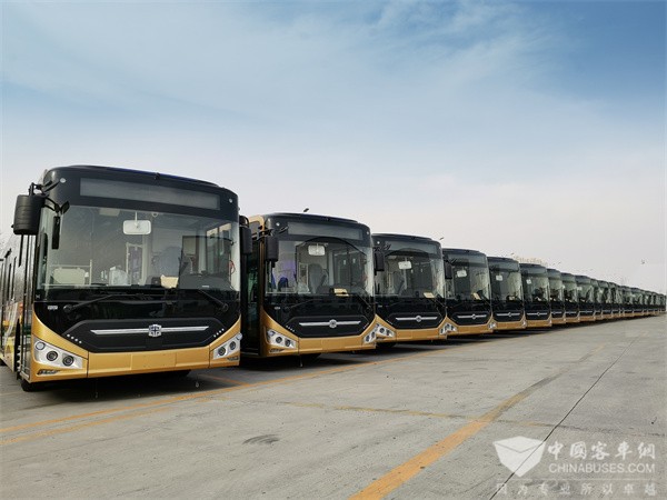 811 Units Zhongtong New N Series Electric City Buses Start Operation in Harbin