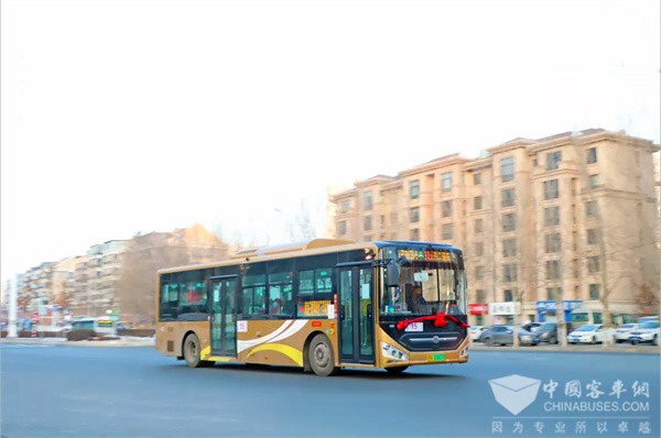 811 Units Zhongtong New N Series Electric City Buses Start Operation in Harbin