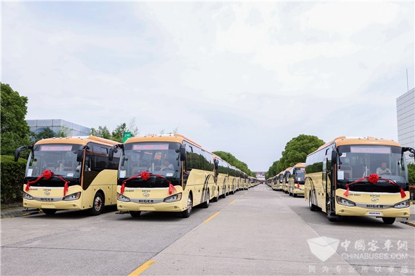 Higer Bus Export Volume Reached 3,709 Units in 2021