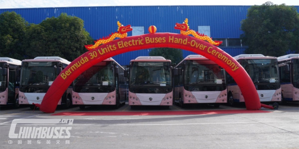 30 Units 8-Meter Golden Dragon Electric Buses to Start Operation in Bermuda