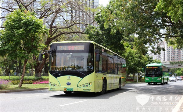 BYD New Energy Bus Sales Grew by 53.70% in April 