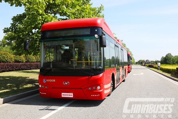 Higer 12m City Buses for Karachi,Pakistan