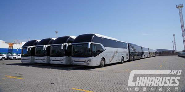 50 Units Golden Dragon Triumph Coaches to Arrive in Saudi Arabia for Operation 