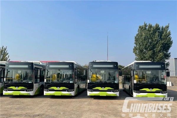 25 Units CRRC Electric C10 Buses Arrive in Qingdao for Operation
