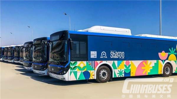 30 Units Higer Electric Buses Provide Zero-Emission Transportation Services at COP27 