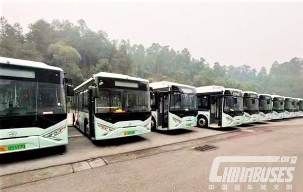 Gree Altairnano New Energy City Buses Arrive in Leshan for Operation
