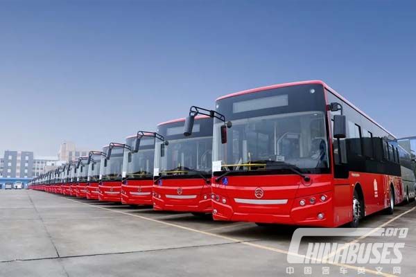 224 Units Golden Dragon City Buses to Arrive in ...