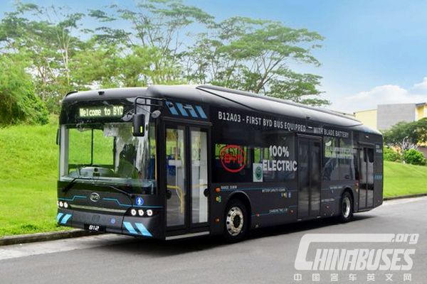 BYD Securing the Singapore Electric Bus Tender of 240 units