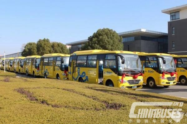 50 Units Ankai Buses Start Serving School Children in Dominican Republic