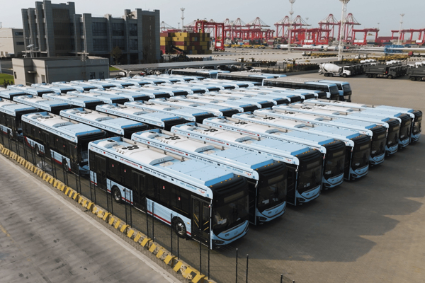 50 Higer New Energy Buses Exported to Uruguay