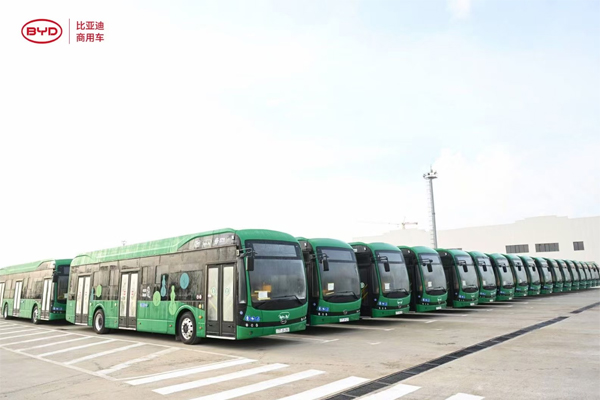 China New Energy Bus Exports in January: BYD and Zhongtong Rank First and Second Respectively