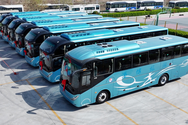 Why Tourism Transportation Company Repeatedly Chosen ...