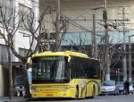 2009 Shandong Electric Auto & Technology Expo 