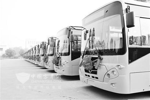 Yangtze bus