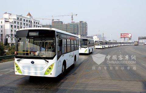 Yangtse environmental buses