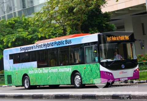 Sunlong hybrid city buses enters Singapore markets 