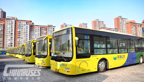 46 Units Golden Dragon buses are ready to go