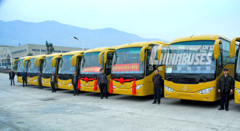 Golden Dragon Luxuious buses ML6957 are ready to go