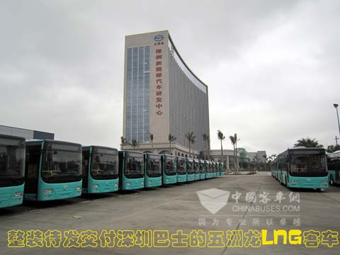 Wuzhoulong FDG6113NG LNG City Buses 