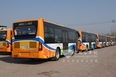 Zhongtong buses