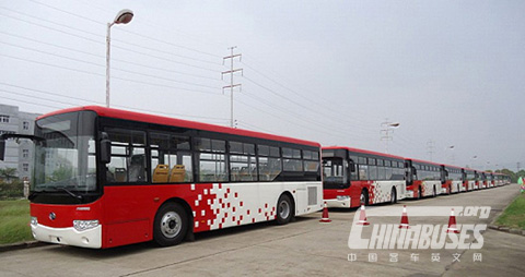 Bonluck CityStar buses in Middle East