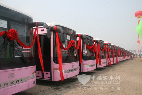 3000 units Ankai school buses exporting to Saudi Arabia
