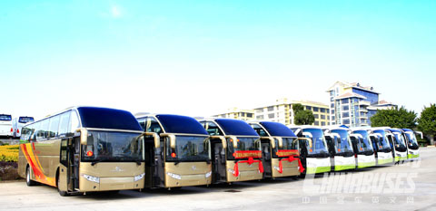 Golden Dragon Buses