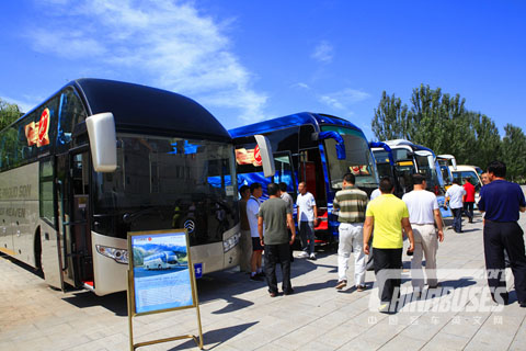 Golden Dragon Buses