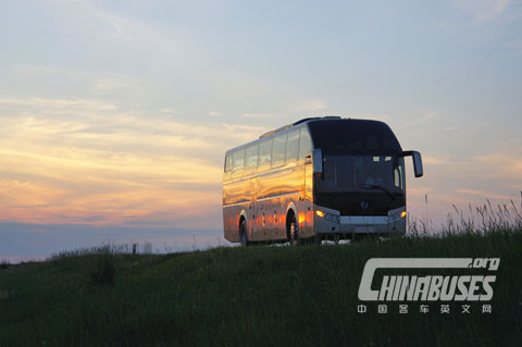 Golden Dragon XML6125 Glory
