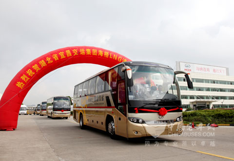 Higer LNG Buses