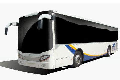 Wuzhoulong New Traditional Diesel Bus FDG6115G