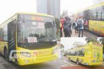 Wuzhoulong Bus Support Yangcheng Walking Activity 