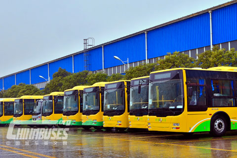 Golden Dragon Forges Economic Applicable New Energy Buses 